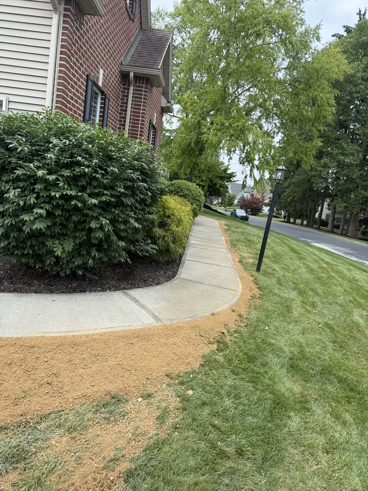 Graded yard sloped to drain alongside a new concrete walkway in the Lehigh Valley